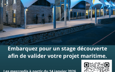 Stage découverte