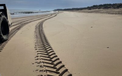Voyage à Oléron